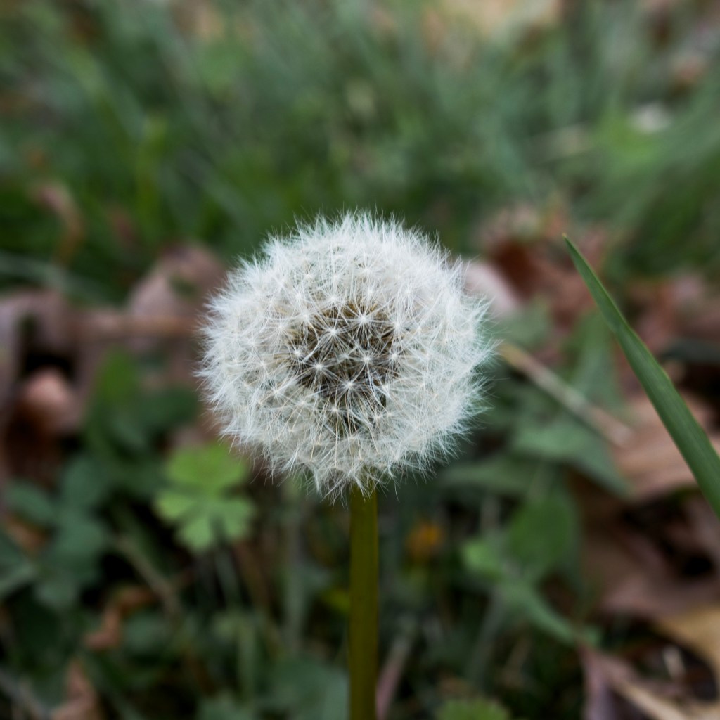 Day 11 – Late&nbsp;Celebrations
