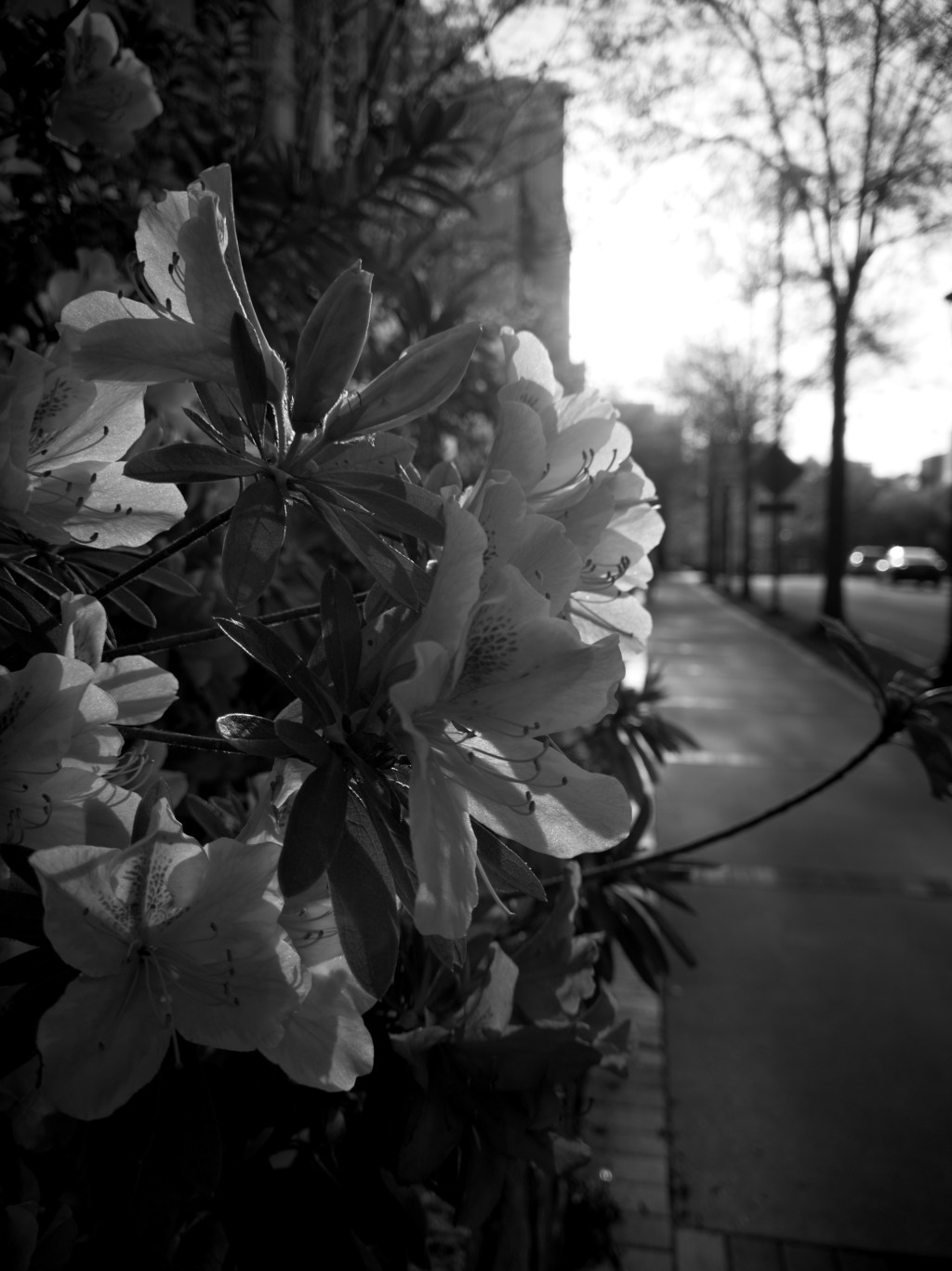 Day 12 – BW is&nbsp;back
