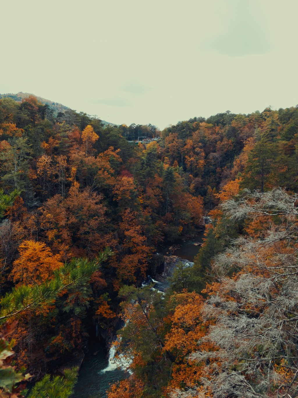 Day 20 – Fall in&nbsp;spring