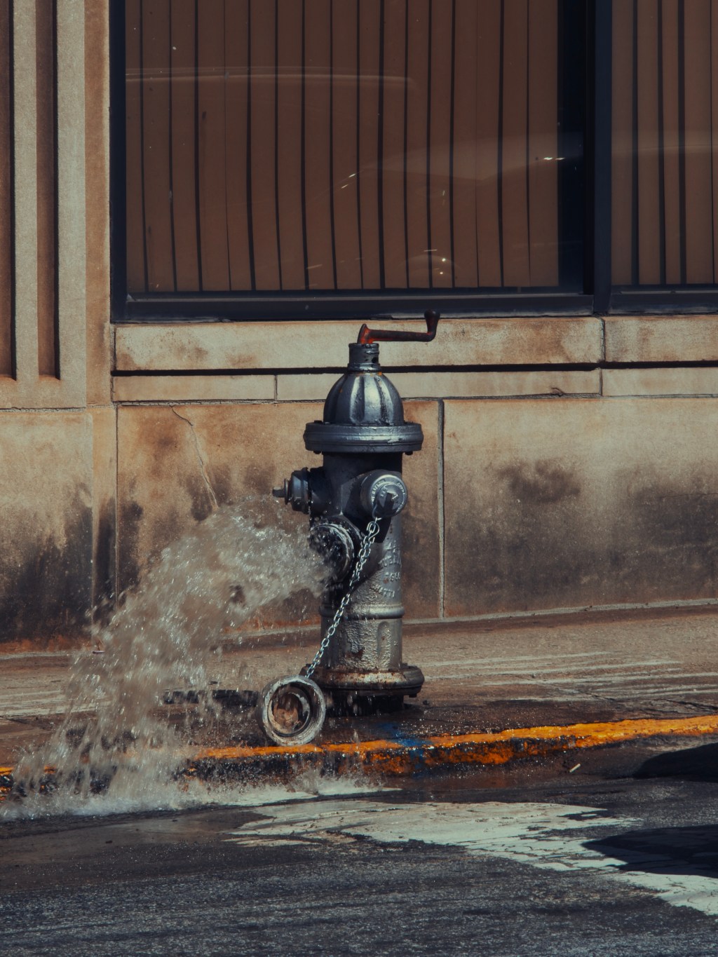 Day 25 – Fire&nbsp;Hydrant