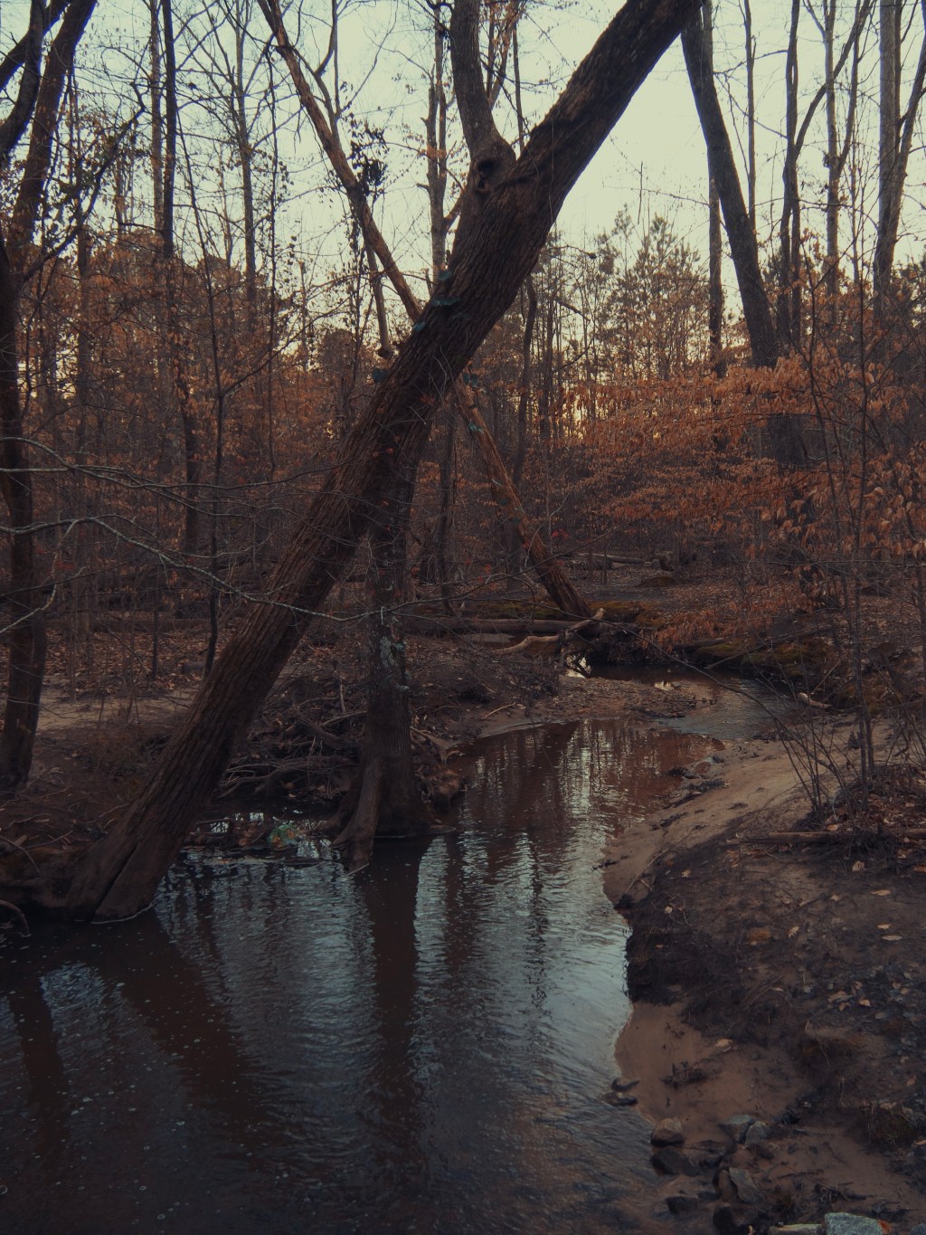 Day 41 – Flowing&nbsp;Creek