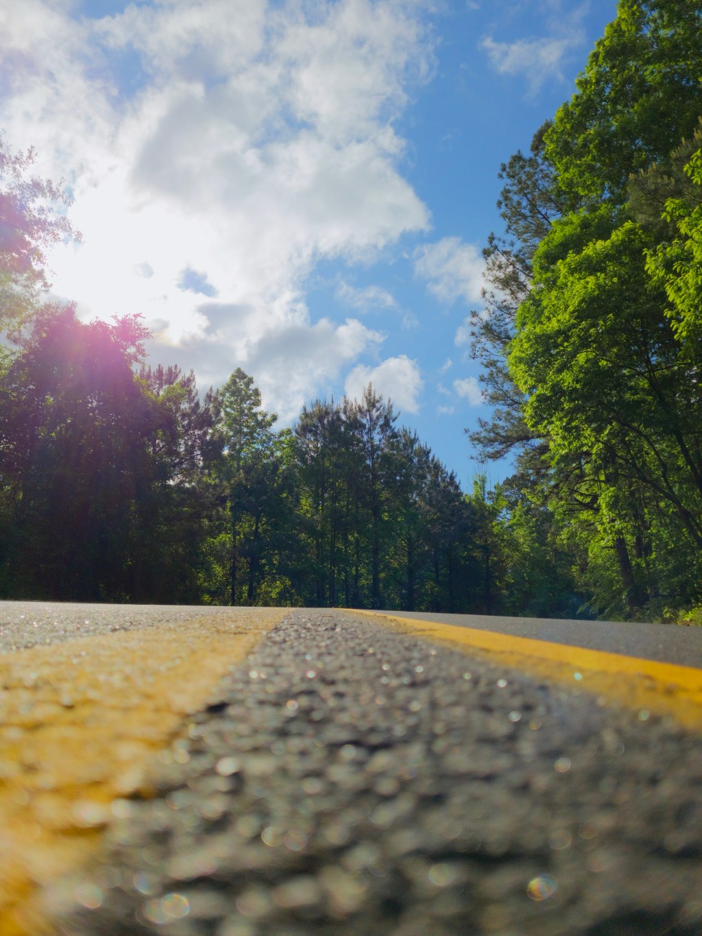 Day 45 – Sun, Road, and&nbsp;Forest