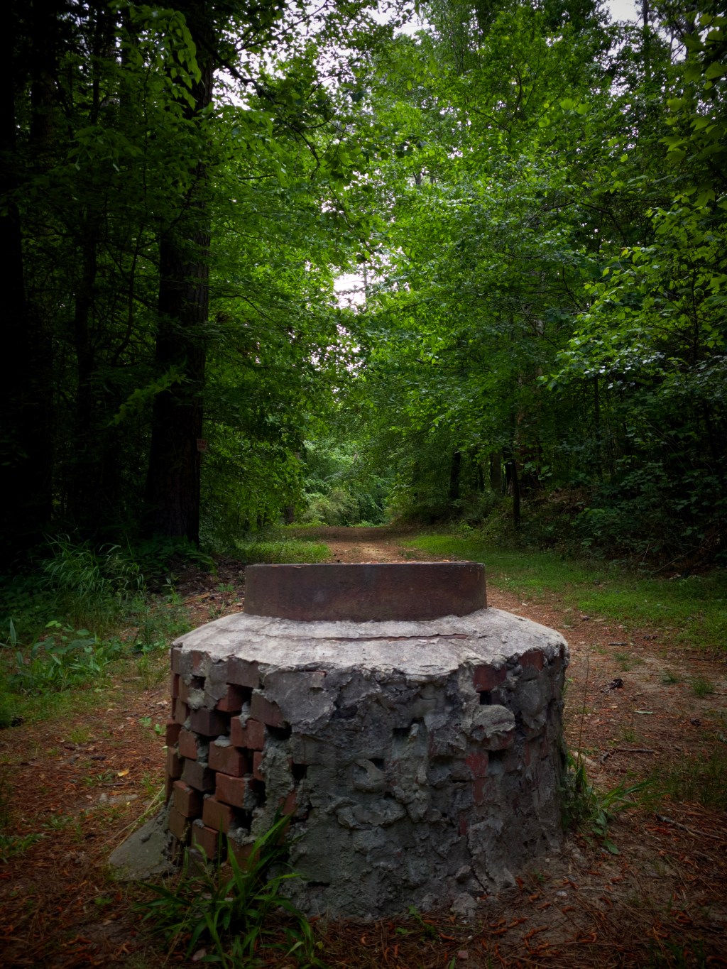 Day 46 – Some Well In the&nbsp;Trail