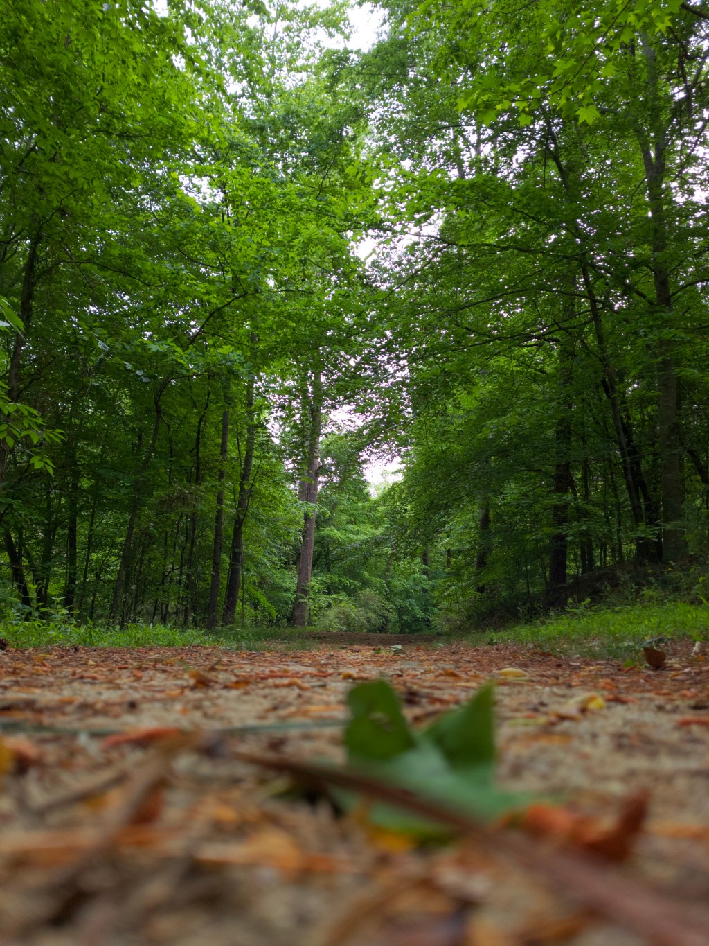 Day 47 – A Worn Down&nbsp;Path