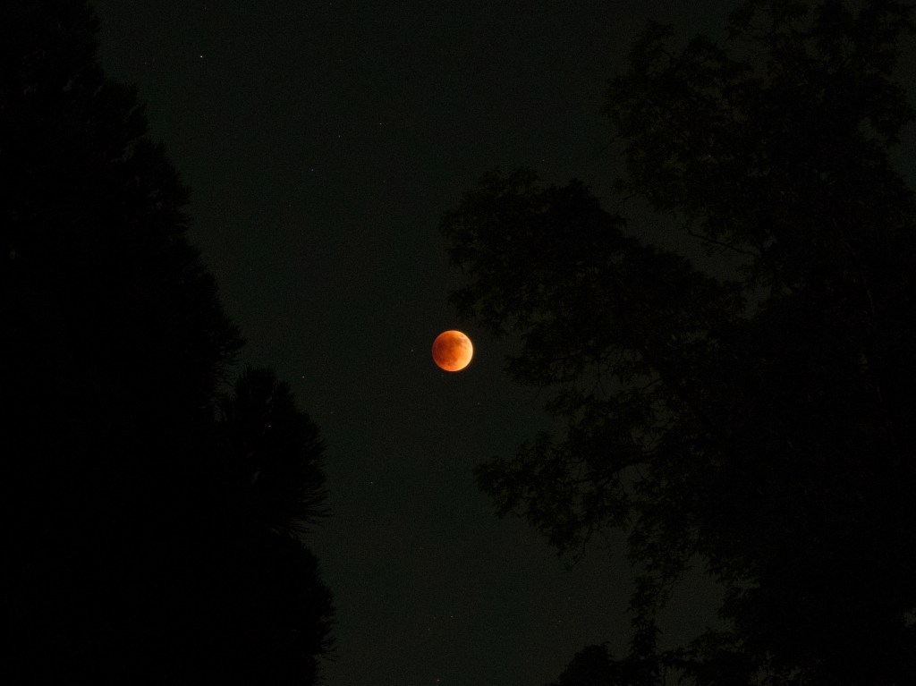 Day 53 – The blood&nbsp;moon