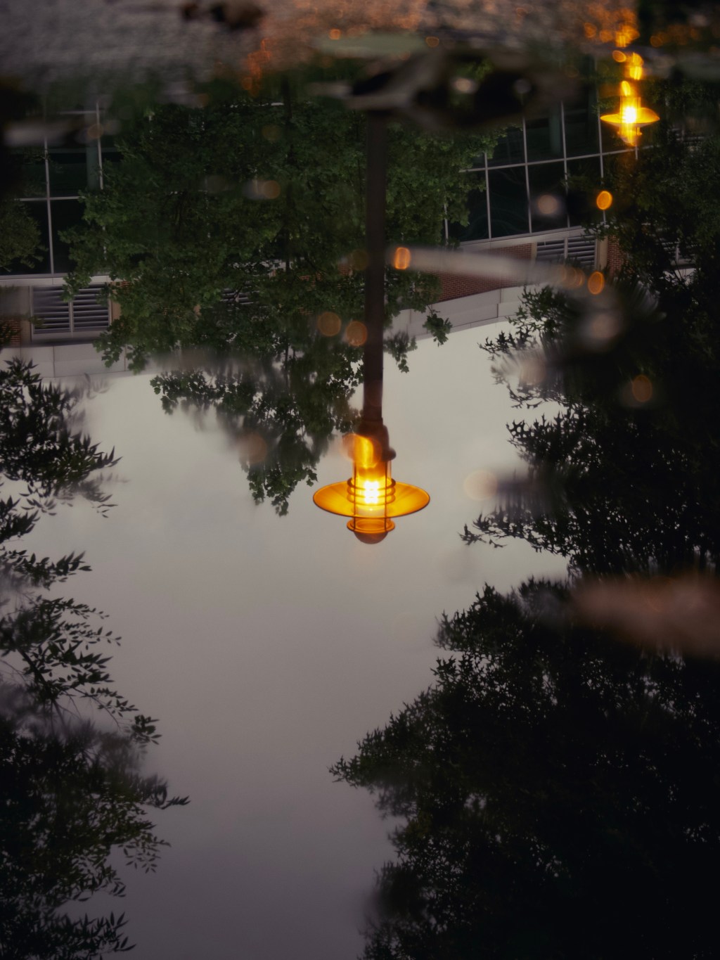 Day 62 – The&nbsp;lamp
