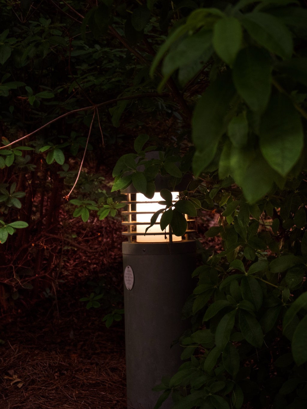 Day 63 – light&nbsp;rays