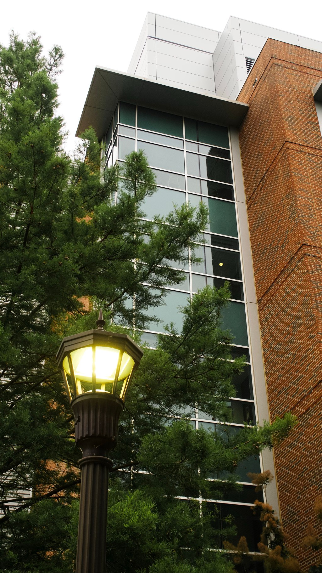 Day 63 – MOSE building and&nbsp;Lamp