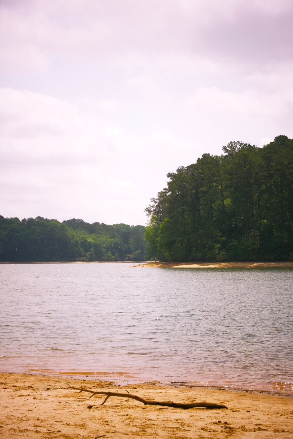 Day 69 – Lone&nbsp;Branch