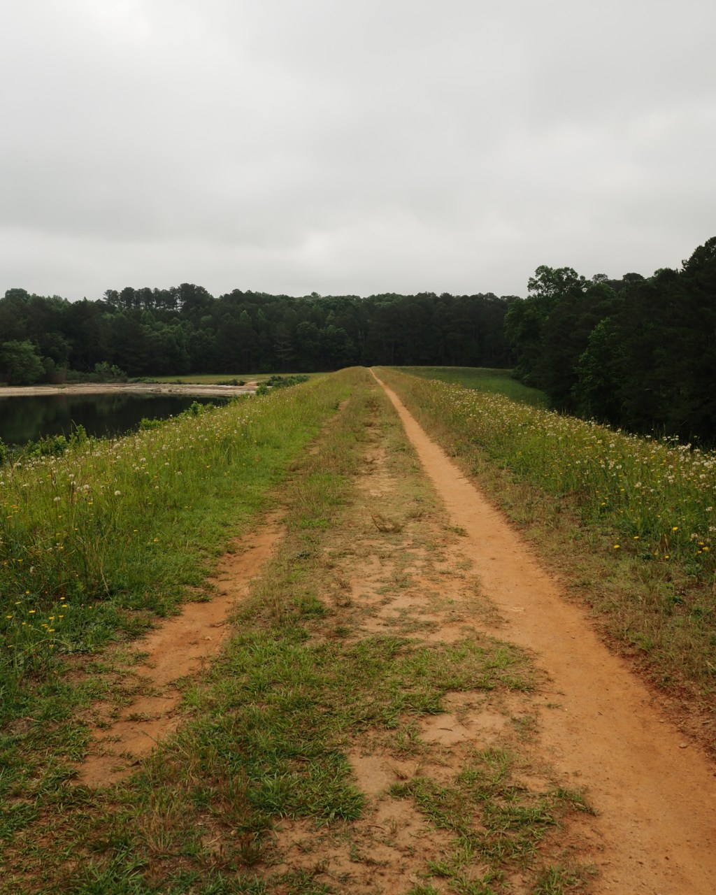 Day 70 – Dam&nbsp;Path