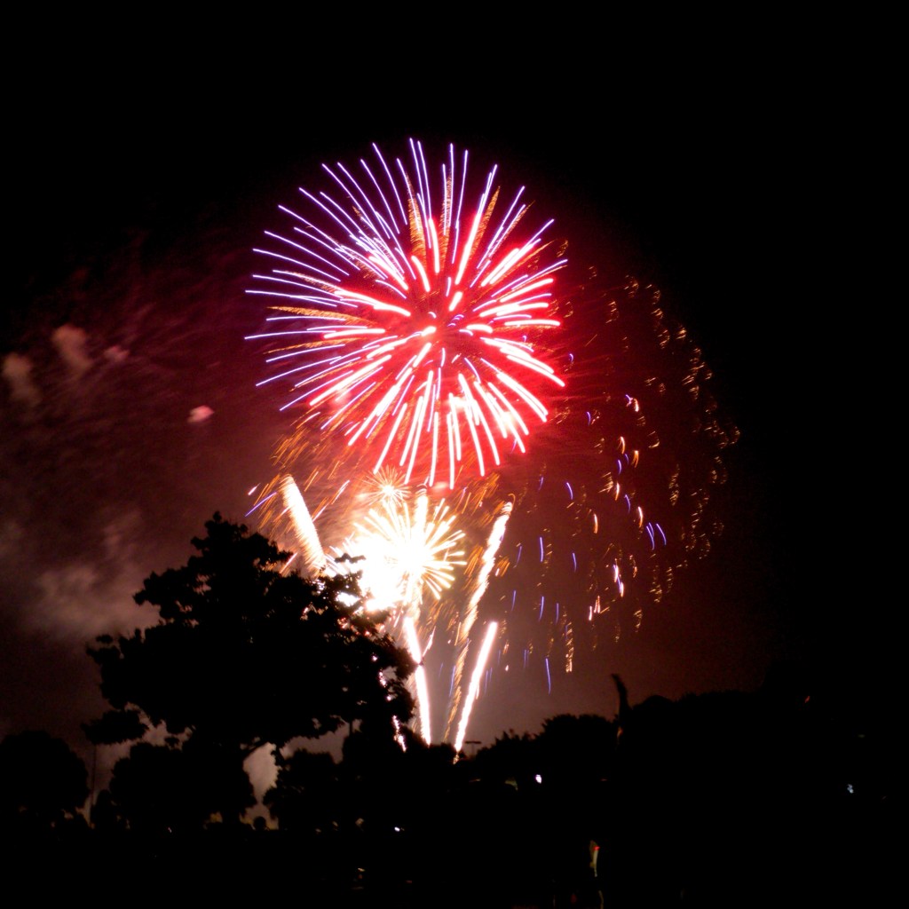 Day 103 –&nbsp;fireworks