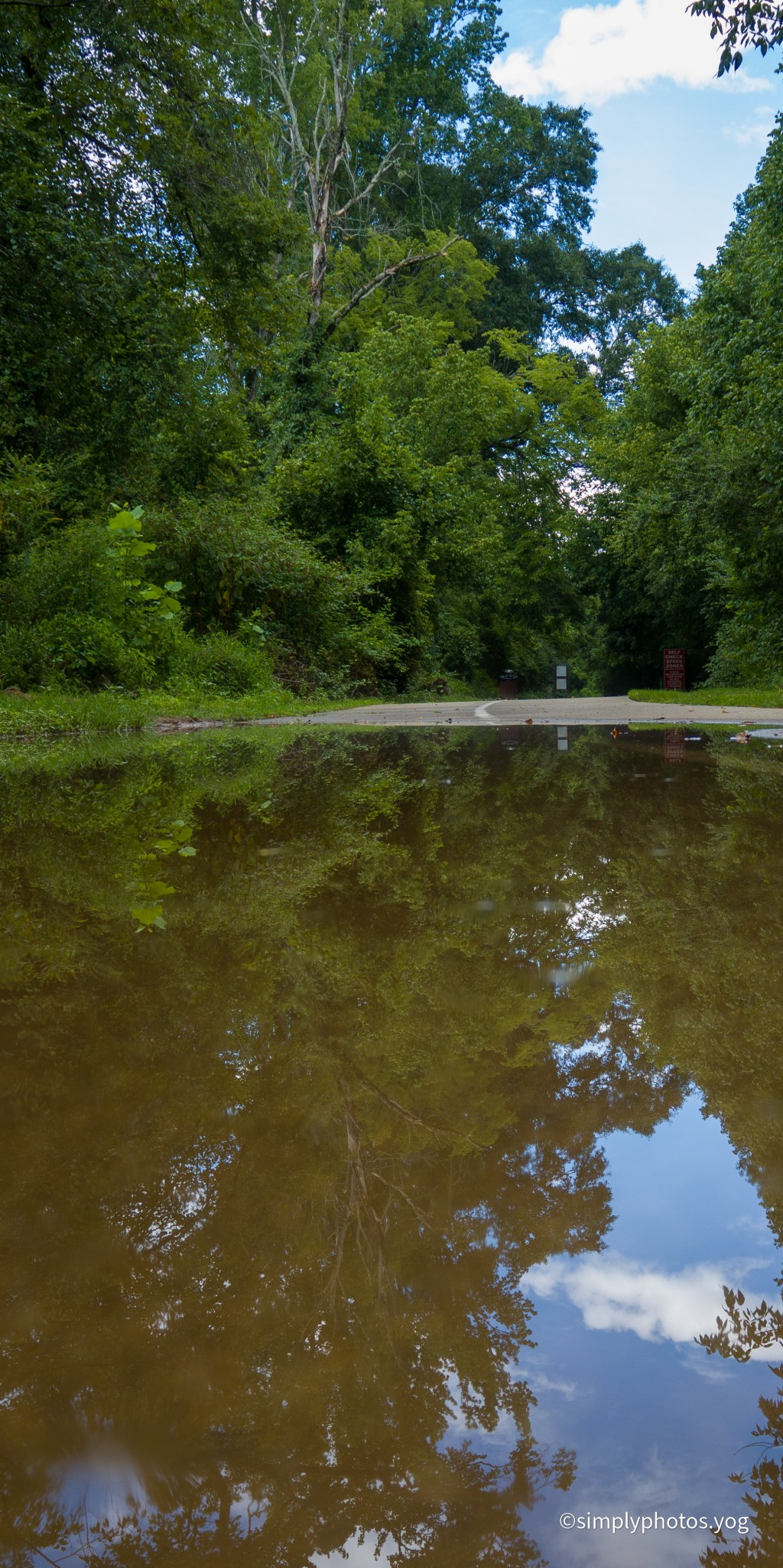 Day 132 – The path and the&nbsp;puddle