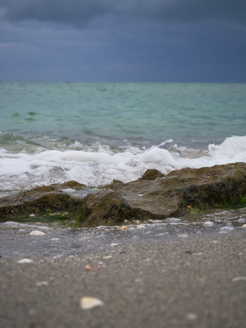 Day 150 – Moss on Rocks