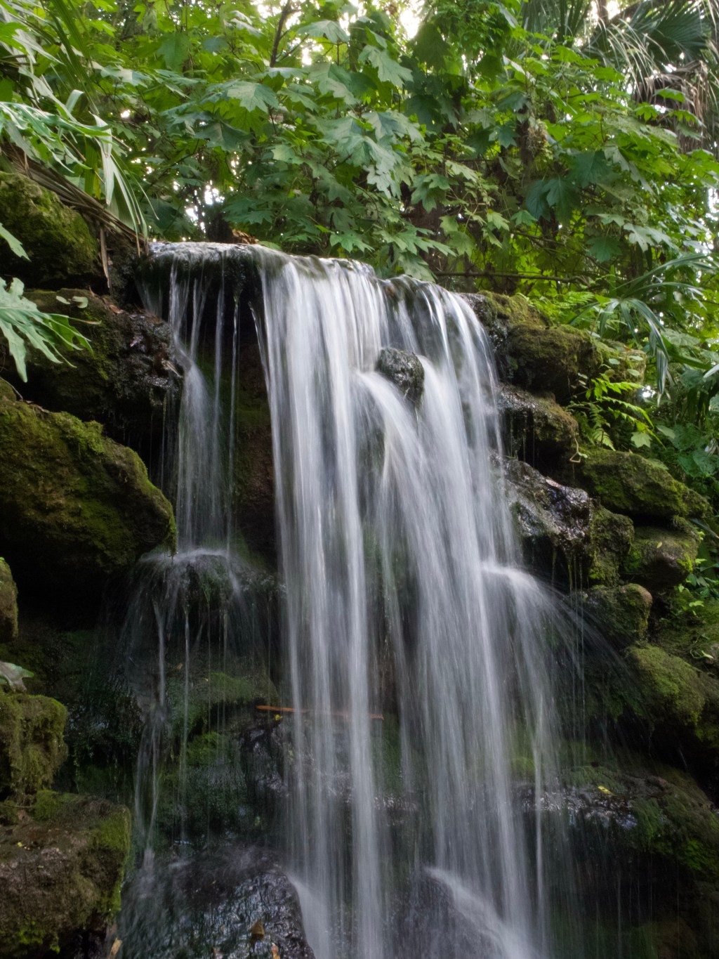 Day 152 – Small Fall