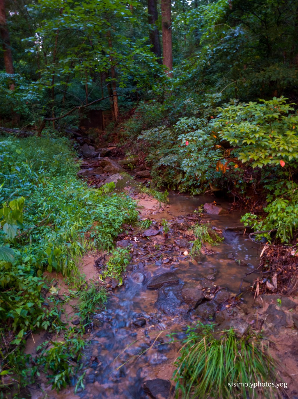 Day 140 – Vivid little&nbsp;stream