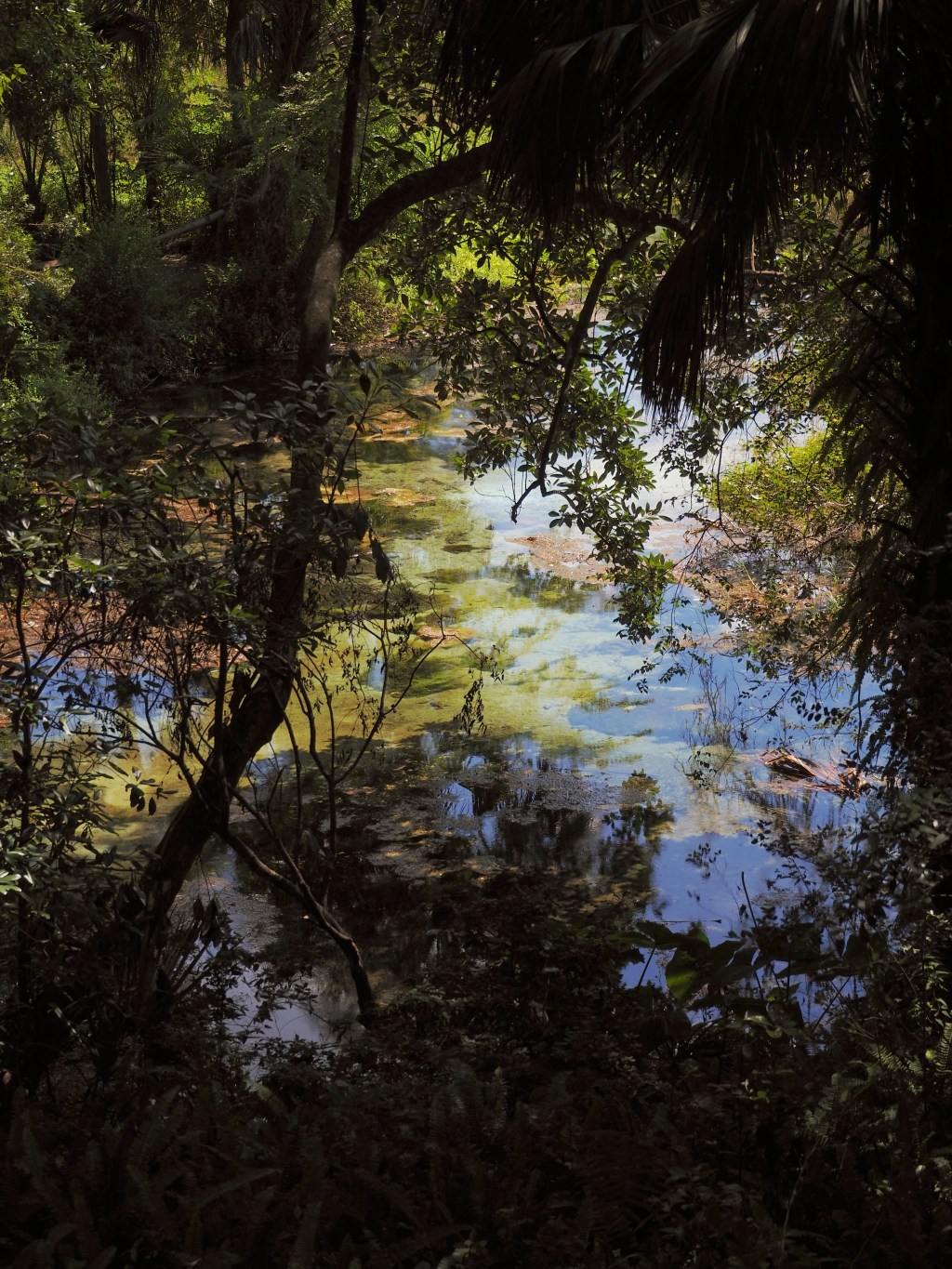Day 165 – Down to the&nbsp;Springs