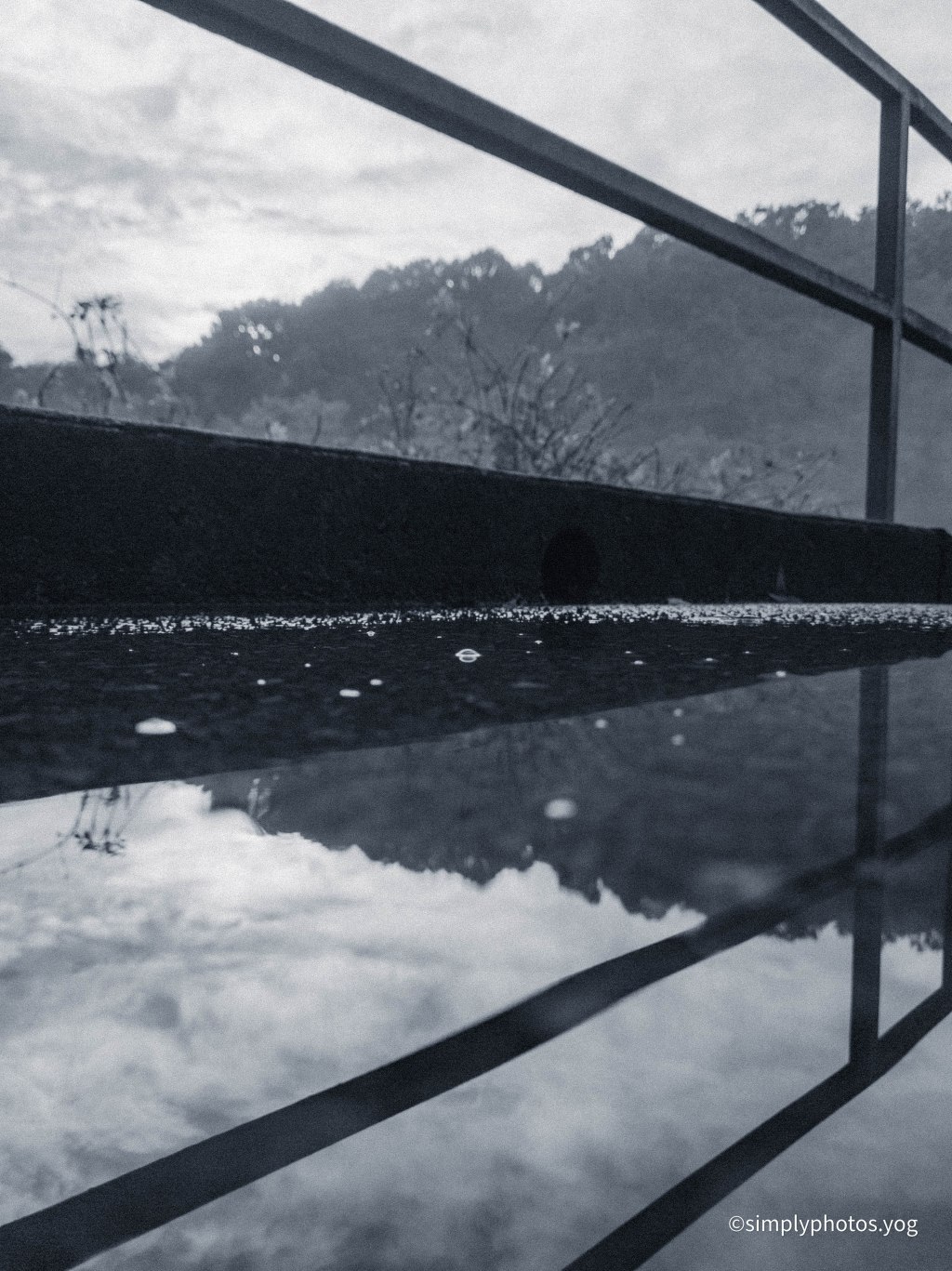 Day 180 – Black and White railings and&nbsp;more