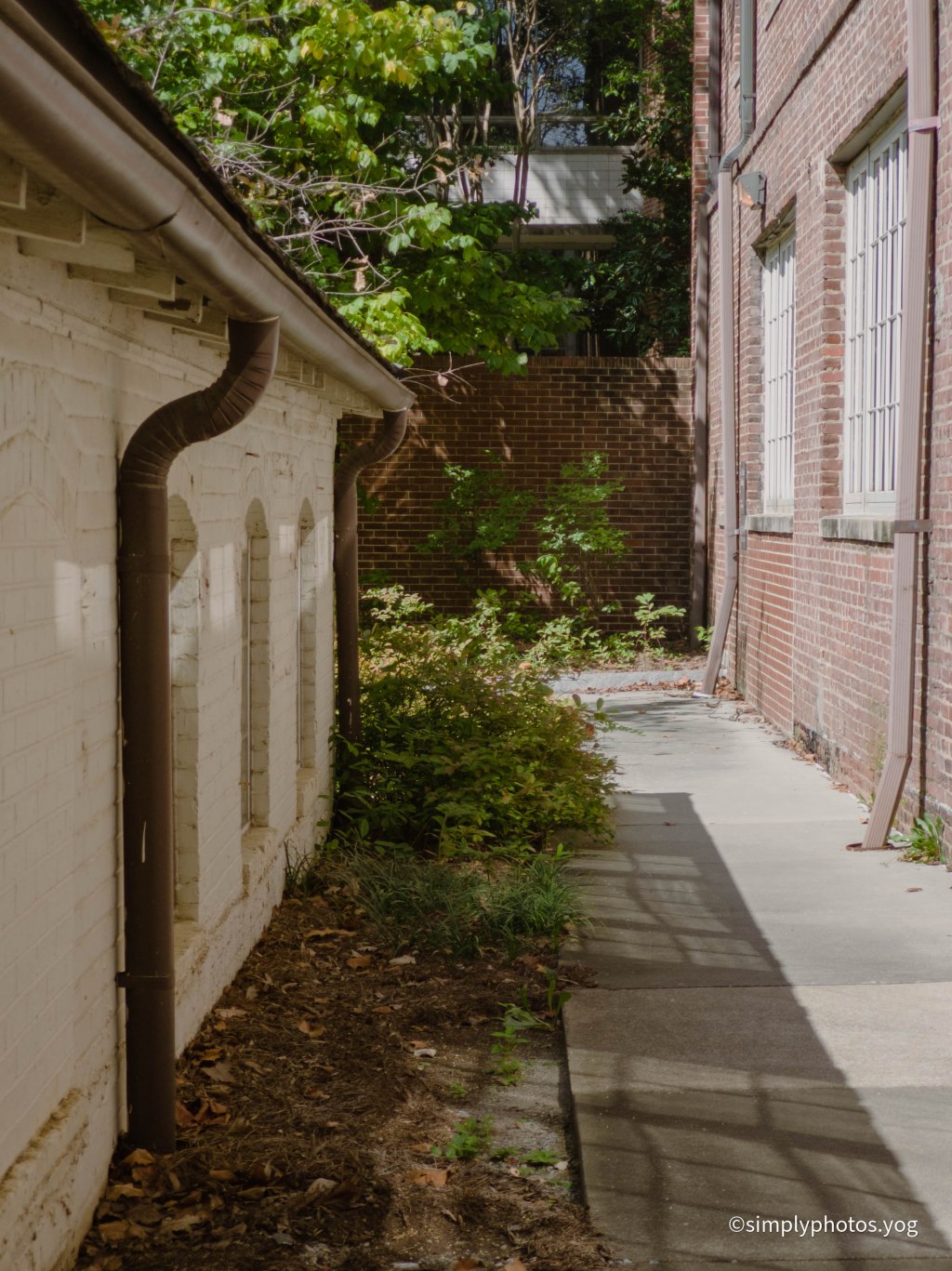 Day 181 – The side&nbsp;Alley