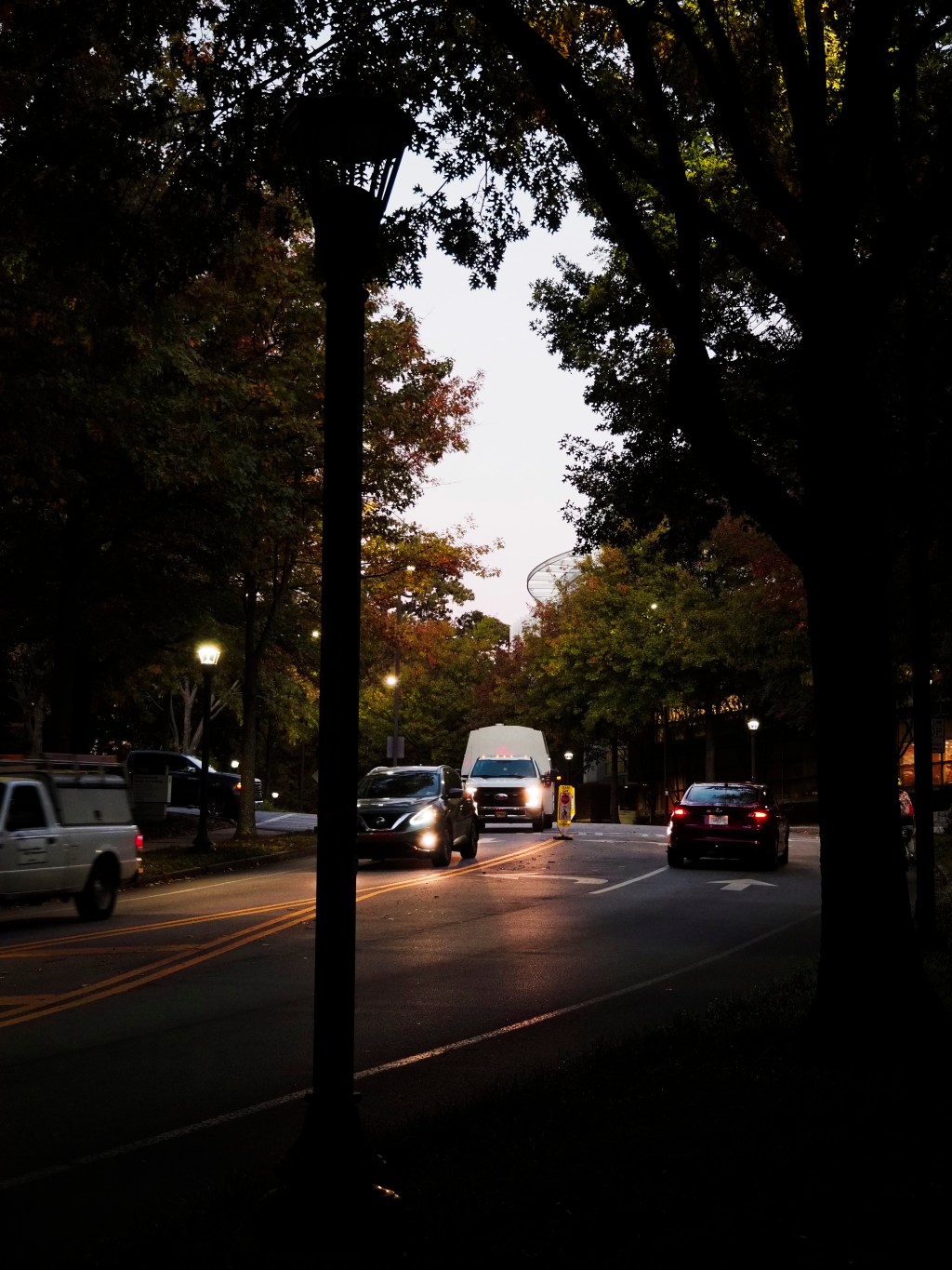 Day 190 – Morning Walk&nbsp;In