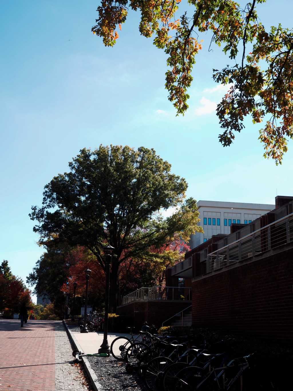 Day 189 – Fall and&nbsp;Howey