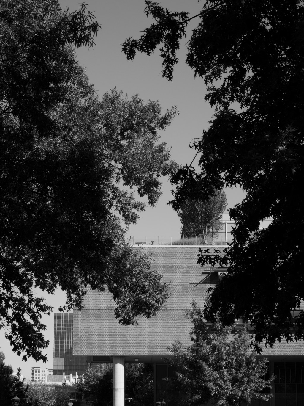 Day 194 – Behind the&nbsp;Trees