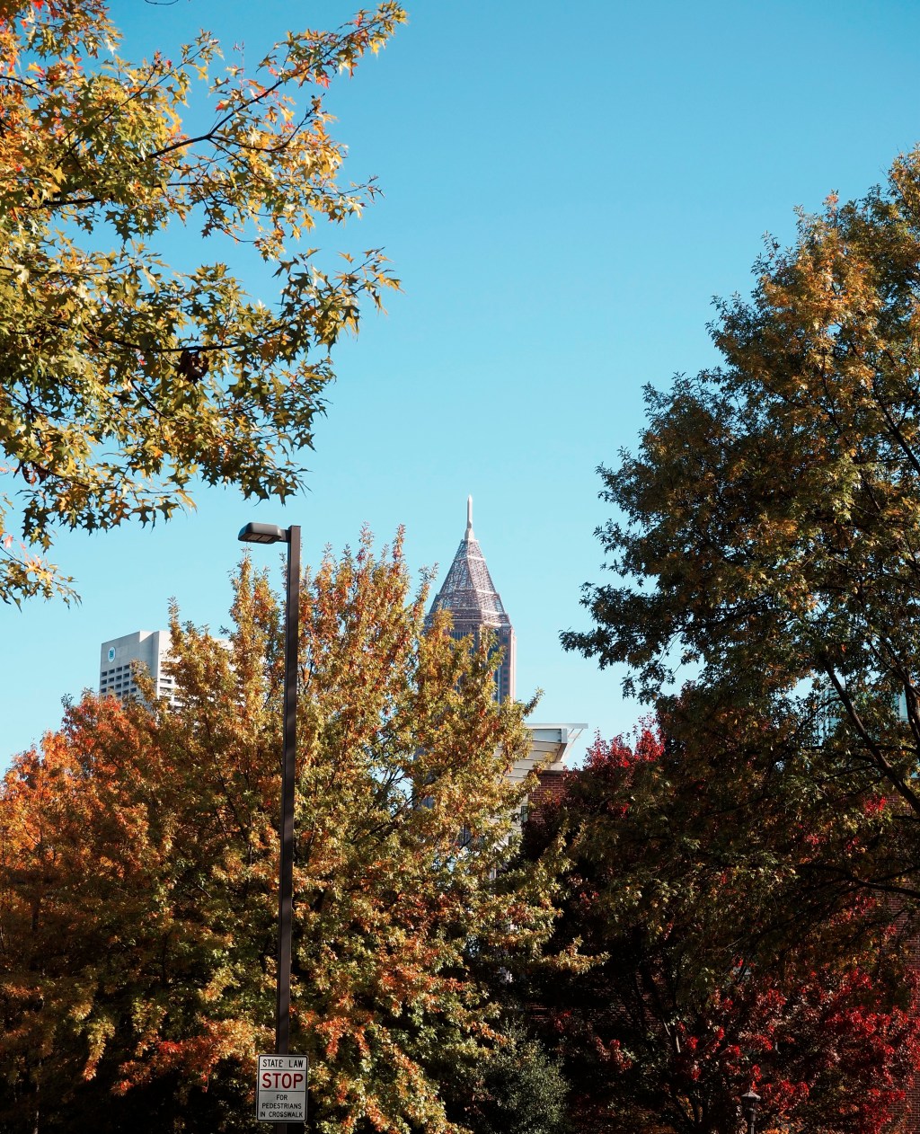 Day 197 – Tower in the&nbsp;Trees