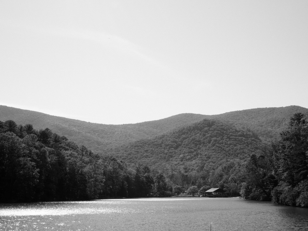 Day 219 – Now in Black and&nbsp;White