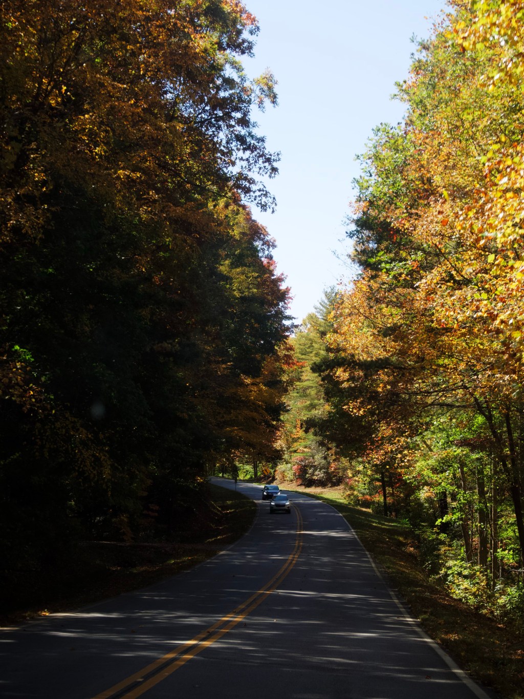 Day 215 – Winding Fall&nbsp;Roads