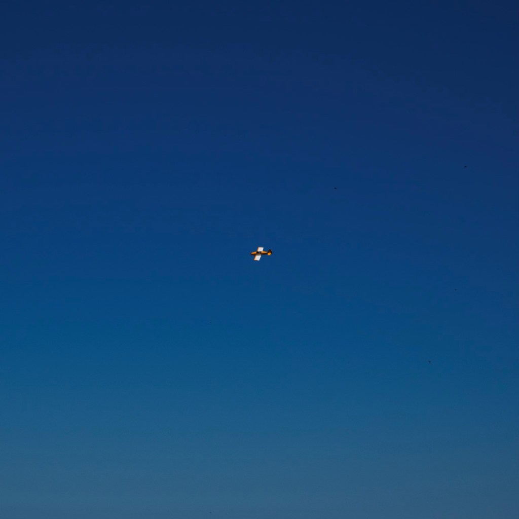 Day 203 – The Yellow&nbsp;Plane
