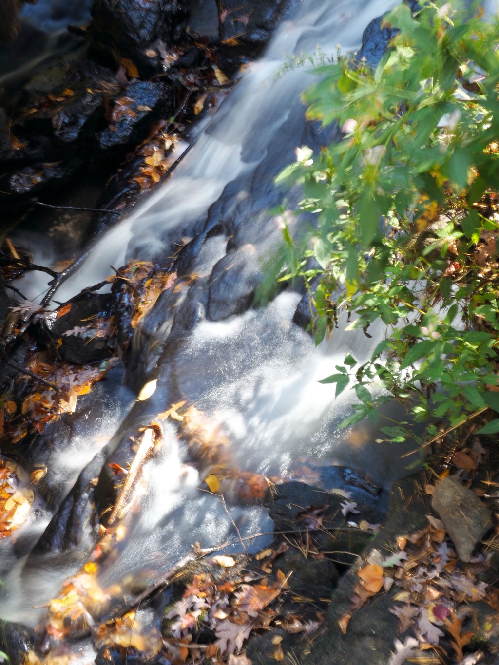 Day 217 – A small&nbsp;Fall