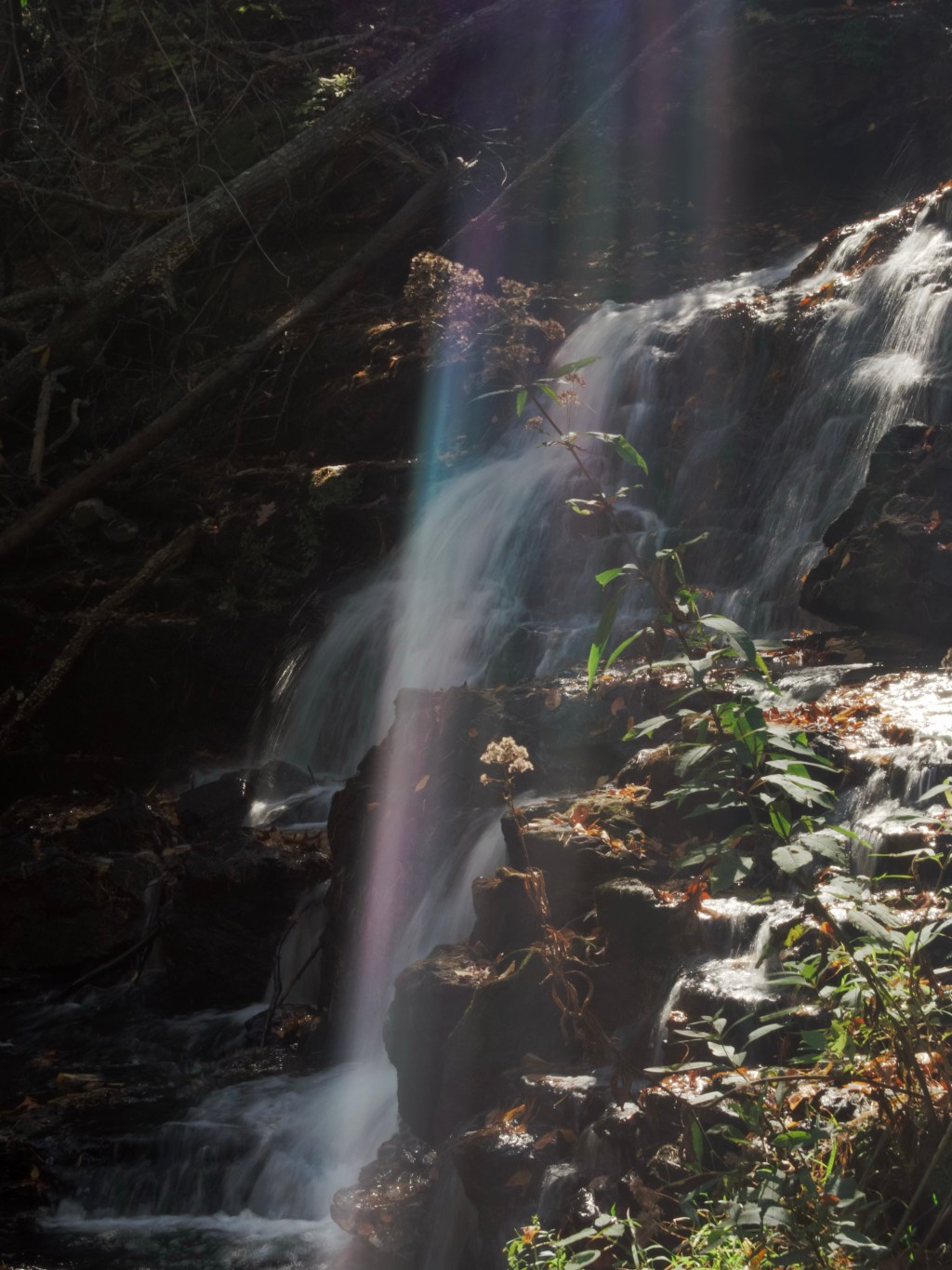 Day 200 – Late 200 with the mini water&nbsp;fall