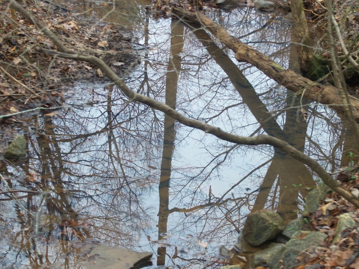 Day 249 – A Fall&nbsp;Creek